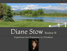 Tablet Screenshot of dianestow.com